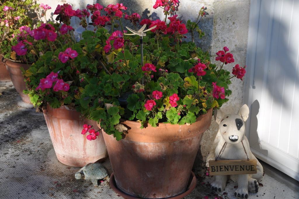 La Maison De Rose Bed and Breakfast Brossac Εξωτερικό φωτογραφία